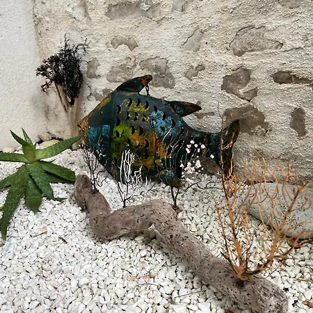 Ma Petite Saint-Martin-de-Re